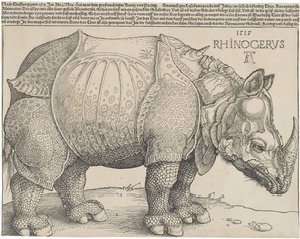 O rinoceronte, 1515
